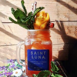 Saint Luna's Porch Swing